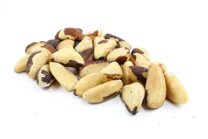 Brazil Nuts