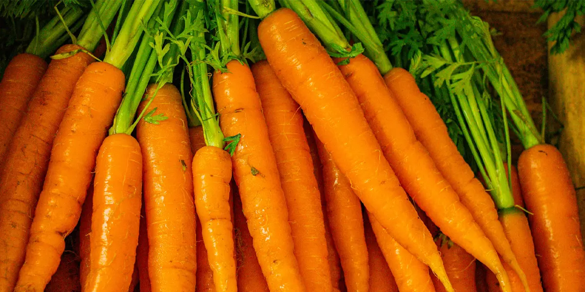 Curly Carrots