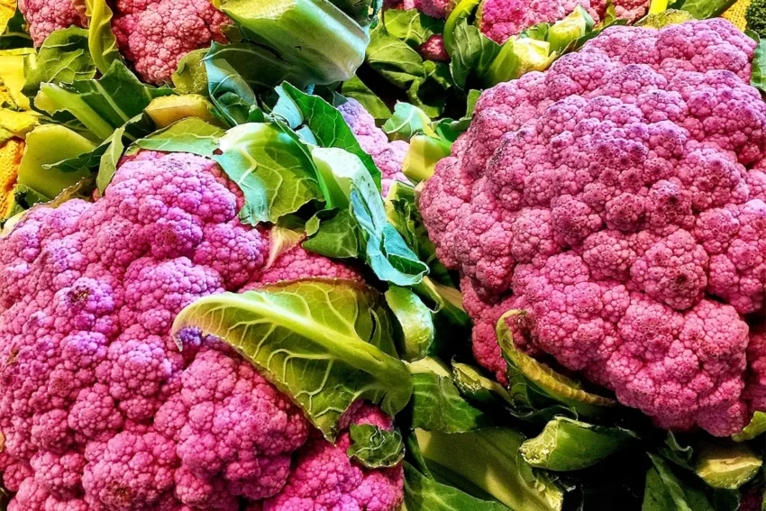 Purple cauliflower