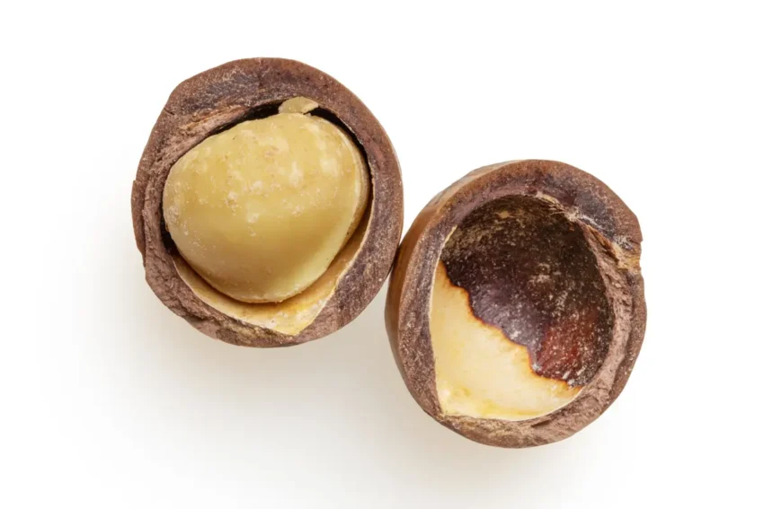 Macadamia Nuts